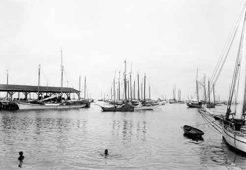 Key West: Harbor, C1895. /Na Fleet Of Boats Owned By Sponge Divers In The Harbor At Key West, Florida. Photograph, C1895. Poster Print by Granger Collection - Item # VARGRC0131104 Key West: Harbor, C1895. /Na Fleet Of Boats Owned By Sponge Divers In The Harbor At Key West, Florida. Photograph, C1895. Poster Print by Granger Collection - Item # VARGRC0131104