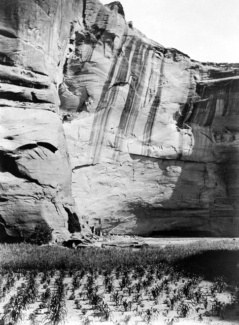 Navajo Corn Fields, C1906. /Nnavajo Corn Fields Near Building Ruins Known As The Antelope Ruins At Canyon Del Muerto, In Canyon De Chelly, Arizona. Photograph By Edward Curtis, C1906. Poster Print by Granger Collection - Item # VARGRC0129565