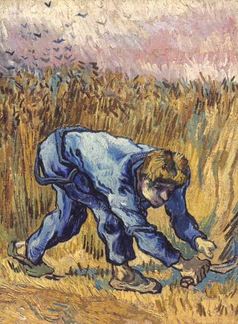 Van Gogh: The Reaper, 1889. /Noil On Canvas, 1889, By Vincent Van Gogh. Poster Print by Granger Collection - Item # VARGRC0057279 Van Gogh: The Reaper, 1889. /Noil On Canvas, 1889, By Vincent Van Gogh. Poster Print by Granger Collection - Item # VARGRC0057279