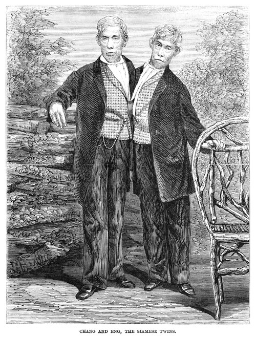 Chang And Eng (1811-1874). /Nthai-American Conjoined Twins And The Origin Of The Term 'Siamese Twins'. Engraving, 1868. Poster Print by Granger Collection - Item # VARGRC0526729