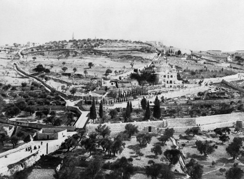 Mount Of Olives. /Nview Of The Garden Of Gethsemane And Mount Of Olives, East Jerusalem. Photograph, C1913. Poster Print by Granger Collection - Item # VARGRC0120099