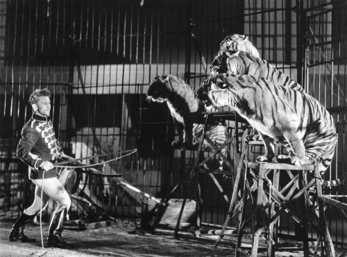 Clyde Beatty (1903-1965). /Namerican Animal Tamer. Photographed In The 1930S. Poster Print by Granger Collection - Item # VARGRC0091676