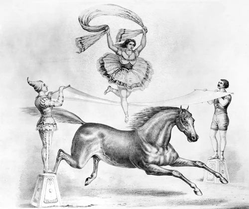 Circus: Acrobats. /Nlithograph, 19Th Century. Poster Print by Granger Collection