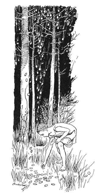 Grimm: The Star Money. /Ndrawing By Arthur Rackham For The Fairy Tale By The/Nbrothers Grimm. Poster Print by Granger Collection - Item # VARGRC0079217