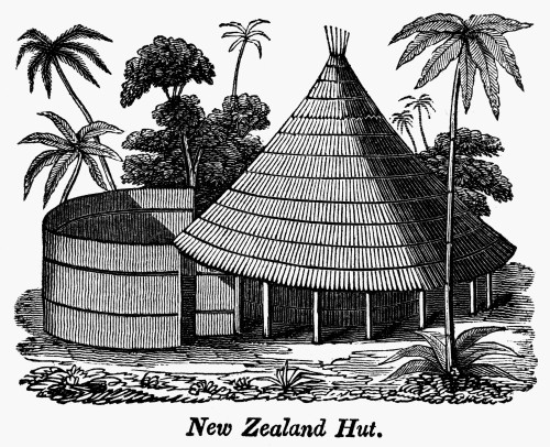 New Zealand: Maori Hut. /N'New Zealand Hut.' Wood Engraving, 19Th Century. Poster Print by Granger Collection - Item # VARGRC0002165