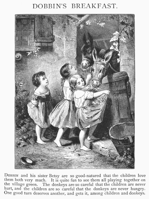 Girls And Donkeys, C1870. /N'Dobbin'S Breakfast.' Wood Engraving, English, For Children, C1870. Poster Print by Granger Collection - Item # VARGRC0096494