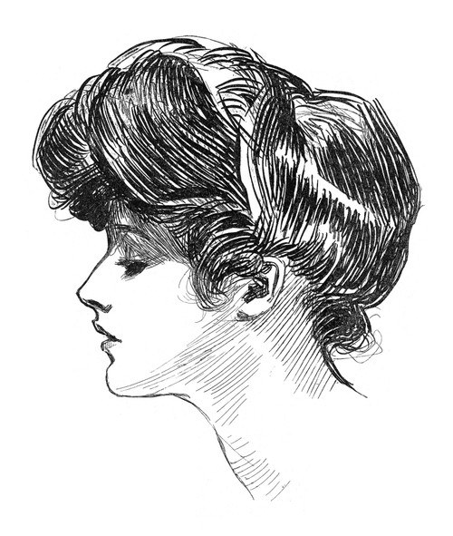 Gibson: Gibson Girl, C1904. /Npen And Ink Drawing By Charles Dana Gibson, C1904. Poster Print by Granger Collection - Item # VARGRC0127310