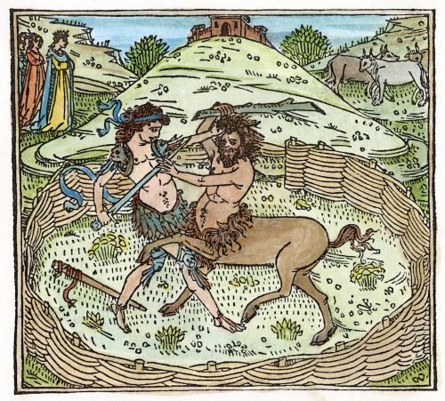 Theseus Battling Centaur. /Nwoodcut, 1495. Poster Print by Granger Collection - Item # VARGRC0047369