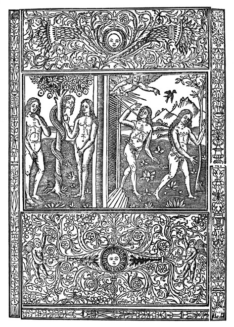 Adam And Eve. /Nthe Fall. Woodcut From Volume Vi Of Giacomo Filippo Foresti'S 'Supplementum Chronicarum,' 1553. Poster Print by Granger Collection - Item # VARGRC0323315