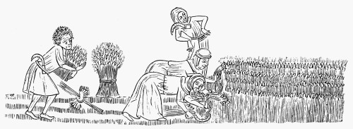 Peasants Reaping, C1340. /Nline Drawing After An Illumination In The Loutrell Psalter, C1340. Poster Print by Granger Collection - Item # VARGRC0003846