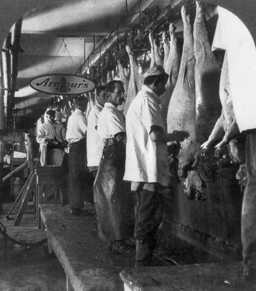 Chicago: Meatpacking. /Nmen Working At The Hog Scraping Rail At The Armour And Company Meatpacking House In Chicago, Illinois. Stereograph, C1909. Poster Print by Granger Collection - Item # VARGRC0117118 Chicago: Meatpacking. /Nmen Working At The Hog Scraping Rail At The Armour And Company Meatpacking House In Chicago, Illinois. Stereograph, C1909. Poster Print by Granger Collection - Item # VARGRC0117118
