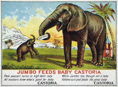 Jumbo: Patent Medicine. /Namerican Patent Medicine Trade Card For Castoria, C1882, Featuring P.T. Barnum'S Celebrated Elephant Jumbo. Poster Print by Granger Collection - Item # VARGRC0009653