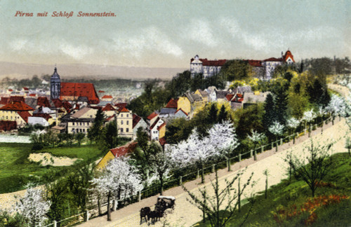 Germany: Pirna, C1920. /Nview Of Pirna Including Sonnenstein Castle. Photograph, C1920. Poster Print by Granger Collection - Item # VARGRC0433596