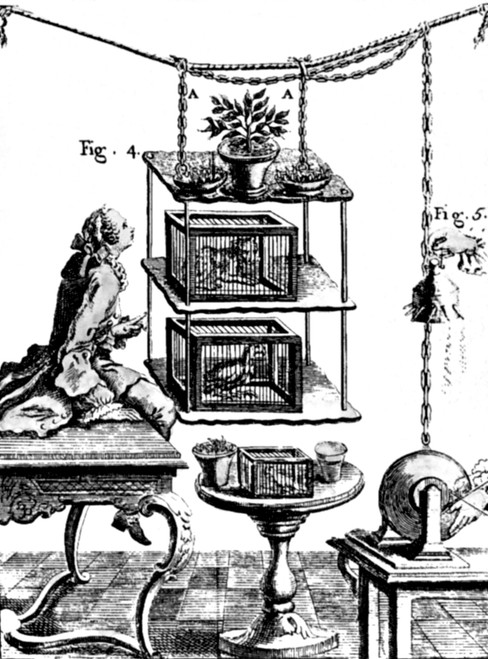 Nollet's Electricity Effects On Plants and Animals Poster Print by Science Source - Item # VARSCIBW7061