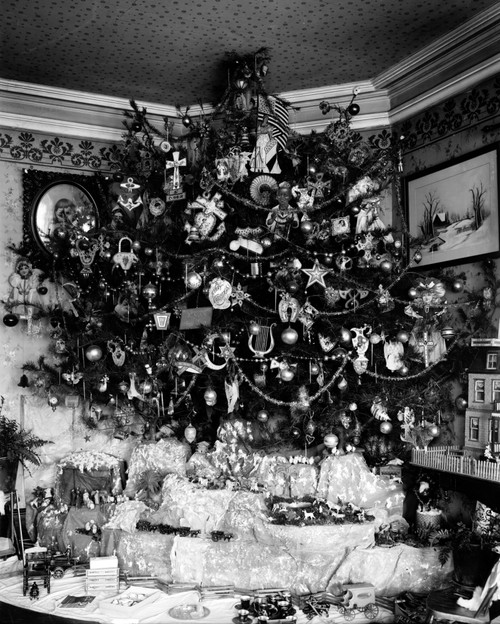Christmas Tree Poster Print by Science Source - Item # VARSCIJA9509