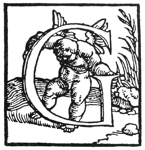 Decorative Initial: G. /Nwoodcut, German, Early 16Th Century. Poster Print by Granger Collection - Item # VARGRC0014127