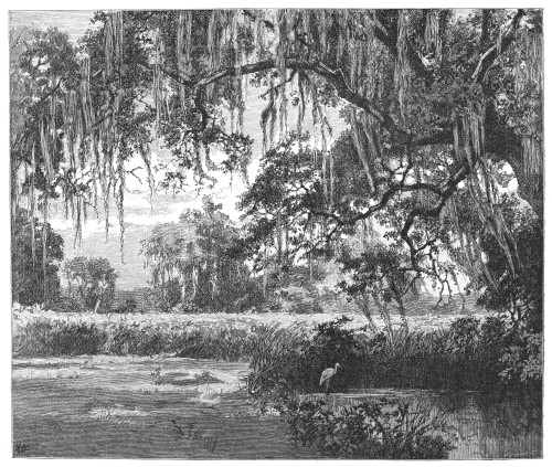 New Orleans: City Park. /Ncity Park And The Old Dueling Ground At New Orleans, Louisiana. Wood Engraving, 1887. Poster Print by Granger Collection - Item # VARGRC0092087