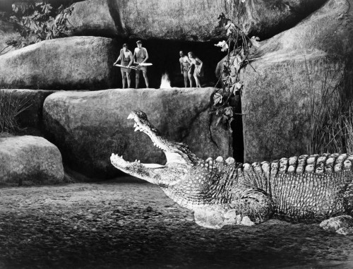 Film: Dr. Cyclops, 1940. Poster Print by Granger Collection - Item # VARGRC0088898