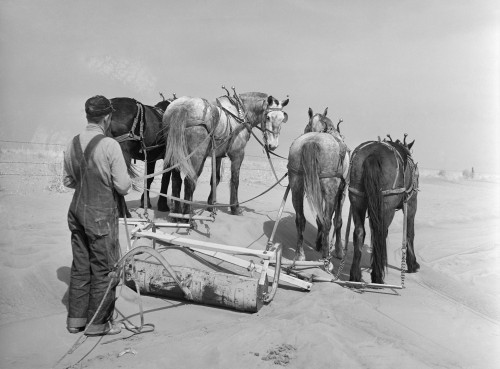 Oklahoma: Dust Storm, 1936. /Na Farmer Removing Drifts Of Soil That Block The Highways Near Guymon, Oklahoma. Photograph By Arthur Rothstein, March 1936. Poster Print by Granger Collection - Item # VARGRC0350523