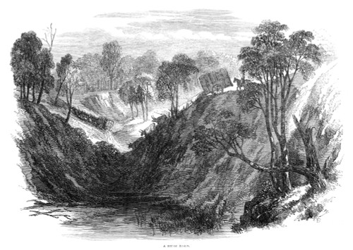 Australia: Queensland, 1863. /N'A Bush Road' In Queensland, Australia. Wood Engraving, English, 1863. Poster Print by Granger Collection - Item # VARGRC0268552