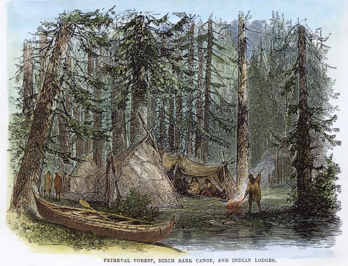 Canada: Forest. /Nnative American Village In A Canadian Forest. Wood Engraving, 19Th Century. Poster Print by Granger Collection - Item # VARGRC0042783