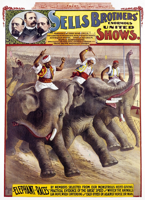 Circus Poster, C1890. /Namerican Circus Poster, C1890, For Sells Brothers Circus, Featuring Elephant Races. Poster Print by Granger Collection - Item # VARGRC0124697