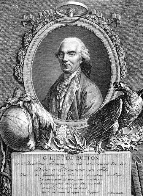 Georges Louis De Buffon /N(1707-1788). French Naturalist. Copper Engraving, French, 1777. Poster Print by Granger Collection - Item # VARGRC0058806