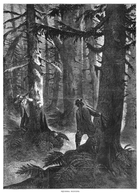 Squirrel Hunting, 1867. /Nsquirrel Hunters In A Forest. Wood Engraving, American, 1867. Poster Print by Granger Collection - Item # VARGRC0264627