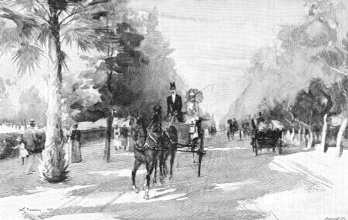 California, 1890. /Nmagnolia Avenue In Riverside, California. Wood Engraving, 1890. Poster Print by Granger Collection - Item # VARGRC0082334