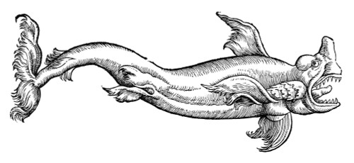 Dolphin. /Nwoodcut From Konrad Von Gesner'S 'Medici Tigurini Historiae Animalium Liber Iv. Qui Est De Piscium & Aquatilium Animantium Natura...,' Frankfurt, 1604. Poster Print by Granger Collection - Item # VARGRC0013888
