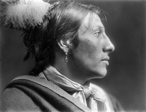 Sioux Native American, C1900. /Namos Two Bulls, A Sioux Native American From Buffalo Bill'S Wild West Show. Photographed By Gertrude K_Sebier, C1900. Poster Print by Granger Collection - Item # VARGRC0115754