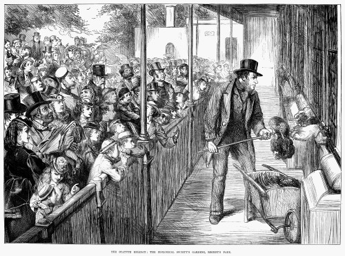 Zoological Garden, 1871. /Nfeeding Time At The Lion House, Regent'S Park Zoo, London, England. Wood Engraving From An English Newspaper Of 1871. Poster Print by Granger Collection - Item # VARGRC0087369