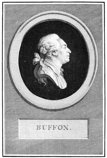Georges Louis De Buffon /N(1707-1788). French Naturalist. Copper Engraving, French, Late 18Th Century. Poster Print by Granger Collection - Item # VARGRC0058811