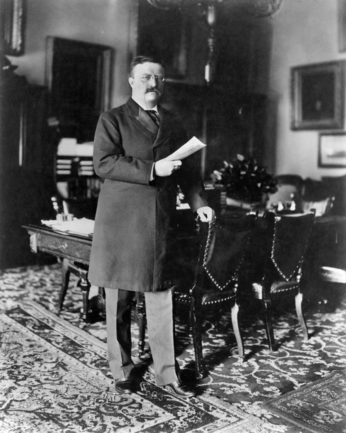 Theodore Roosevelt /N(1858-1919). 26Th President Of The United States. Photographed In 1902. Poster Print by Granger Collection - Item # VARGRC0027730 Theodore Roosevelt /N(1858-1919). 26Th President Of The United States. Photographed In 1902. Poster Print by Granger Collection - Item # VARGRC0027730
