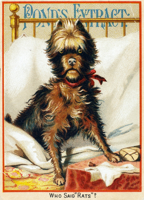 Medicine Trade Card, C1880. /Npond'S Extract, Patent Medicine. American Merchant'S Trade Card, C1880. Poster Print by Granger Collection - Item # VARGRC0098215