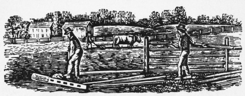 Farming: Almanac Cut. /Nwood Engraving, American, 19Th Century. Poster Print by Granger Collection - Item # VARGRC0078013