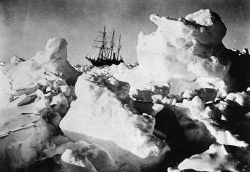 Shackleton Expedition, C1915. /Nshackleton'S Ship, 'Endurance,' Stuck In The Ice In The Weddell Sea During The Antarctic Expedition, C1915. Poster Print by Granger Collection - Item # VARGRC0174738