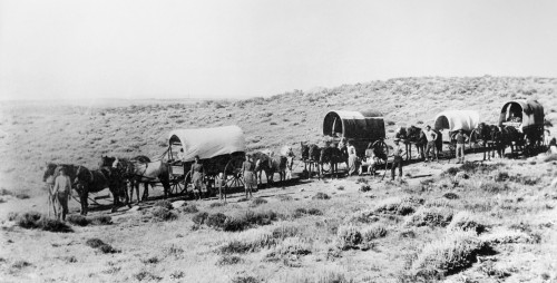 Wyoming: Wagon Train. /Nan Emigrant Wagon Train, Wyoming Territory, C1875. Poster Print by Granger Collection - Item # VARGRC0183520