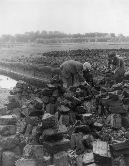 Ireland: Peat Digging. /Nan Irish Man And Woman Digging For Peat To Use As Fuel. Photograph, Late 19Th Or Early 20Th Century. Poster Print by Granger Collection - Item # VARGRC0130745