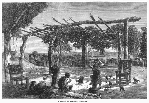 Paraguya: Rancho, 1865. /Na Small Ranch In Paraguay. Wood Engraving, English, 1865. Poster Print by Granger Collection - Item # VARGRC0095478