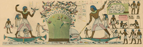 Ancient Egypt, Bird Hunting Poster Print by Science Source - Item # VARSCIBQ6549