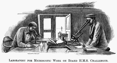 Hms Challenger Scientists. /Nscientists At Work During The Cruise (1872-76) Of The British Survey Ship Hms Challenger. Wood Engraving, 1895. Poster Print by Granger Collection - Item # VARGRC0006502