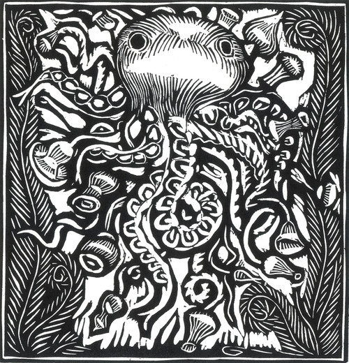 Octopus, 20th Century Poster Print by Science Source - Item # VARSCIJC3375