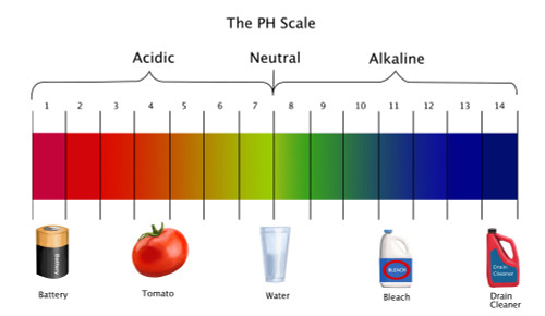 pH Scale Poster Print by Spencer Sutton/Science Source - Item # VARSCIBZ8063