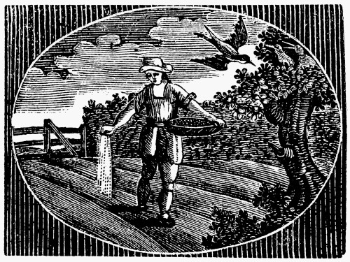 New England Farmer. /Nsowing In Spring. Wood Engraving, American,Early 19Th Century. Poster Print by Granger Collection - Item # VARGRC0116677