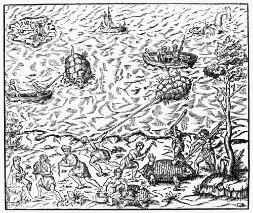 Hunting Turtles, 1575. /Ntucano Indians In Brazil Hunting Turtles. Page With Woodcut From Andr_ Thevet'S 'La Cosmographie Universelle,' Paris, 1575. Poster Print by Granger Collection - Item # VARGRC0114736