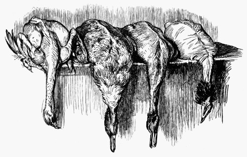 Game, C1900. /Ntypefounder'S Cut, C1900. Poster Print by Granger Collection - Item # VARGRC0077491