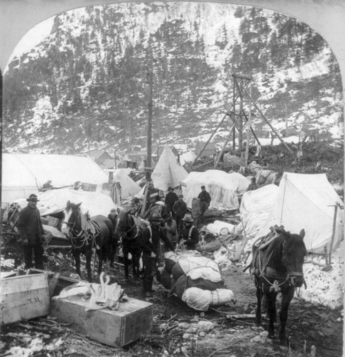 Alaska: Sheep Camp, C1898. /Nmen And Their Horses And Packs On A 'Street' In Sheep Camp, Alaska. Photograph, C1898. Poster Print by Granger Collection - Item # VARGRC0116196