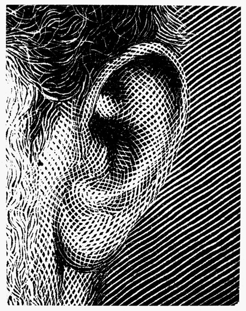 Human Ear. /Nline Engraving. Poster Print by Granger Collection - Item # VARGRC0077021