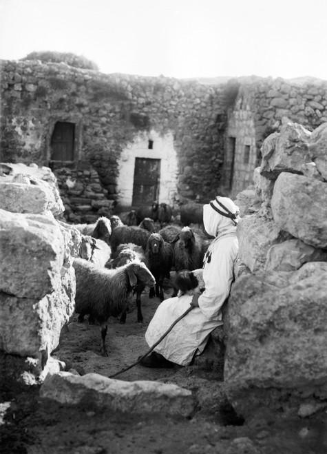 Sharafat: Shepherd. /Na Young Shepherd Guards The Entrance To A Corral At Sharafat, East Jerusalem. Photograph, C1928. Poster Print by Granger Collection - Item # VARGRC0131033